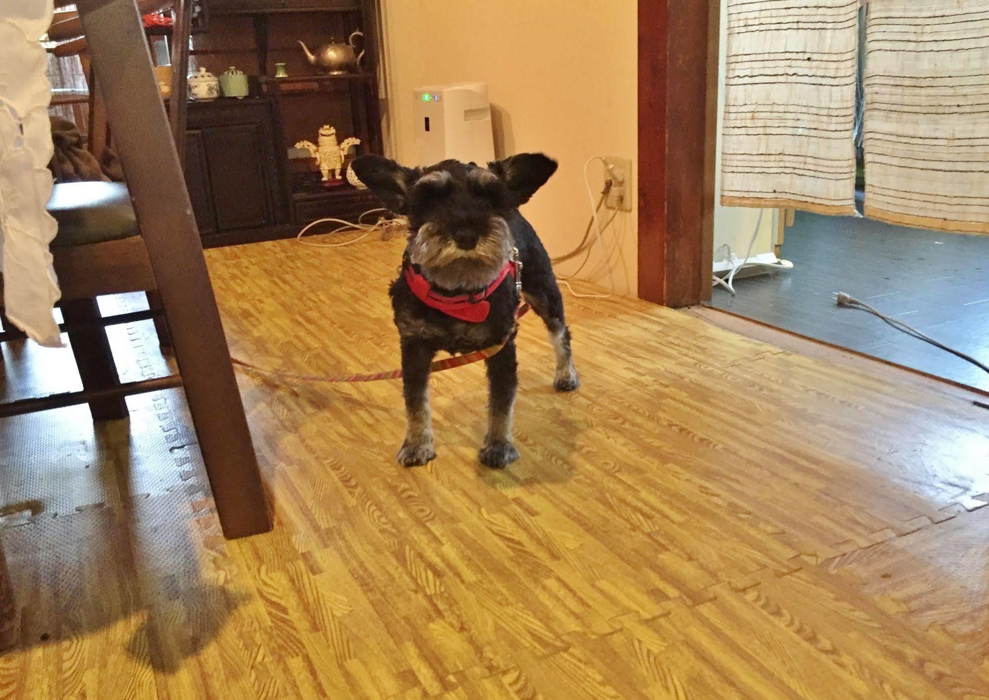 Hotobil B&B 潤 An Inn That Enjoys Breakfast Nara Exteriér fotografie